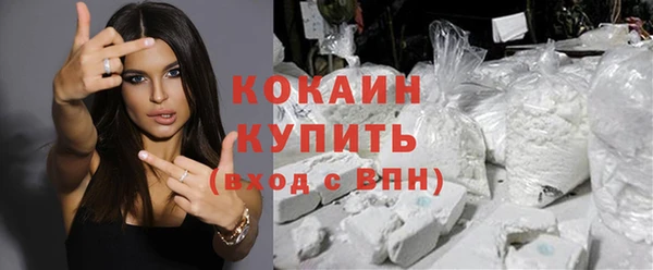 ПСИЛОЦИБИНОВЫЕ ГРИБЫ Верея