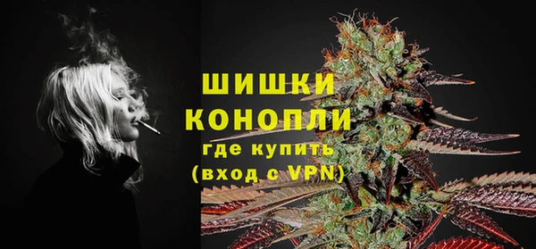 ПСИЛОЦИБИНОВЫЕ ГРИБЫ Верея