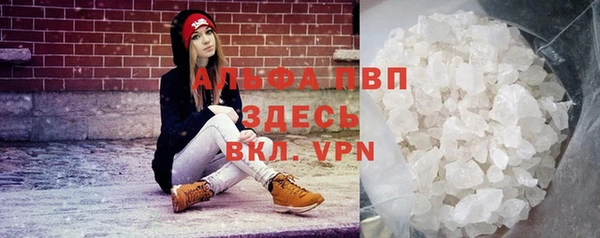 ПСИЛОЦИБИНОВЫЕ ГРИБЫ Верея