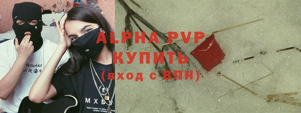 ПСИЛОЦИБИНОВЫЕ ГРИБЫ Верея