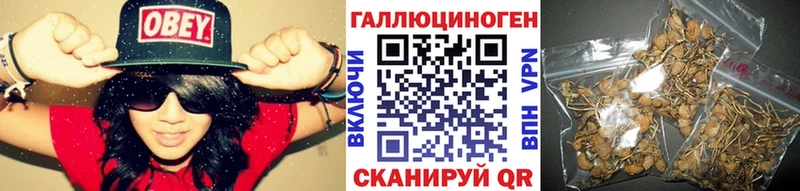 Галлюциногенные грибы GOLDEN TEACHER  купить   hydra как зайти  Карачев 